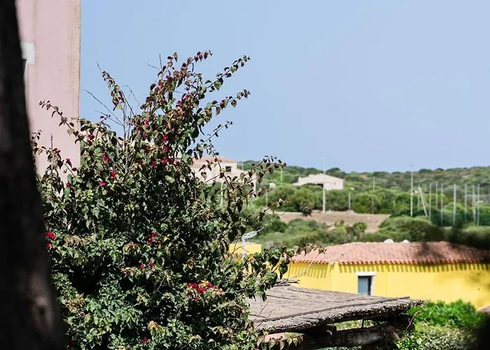 Ginestrella - Private Pool * Punta de su Torrione